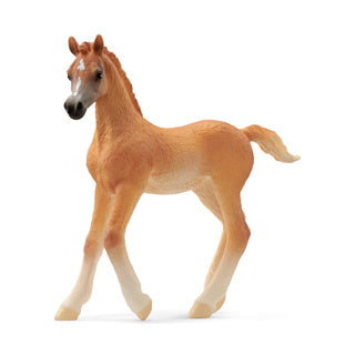 Schleich Horse Club Arabic Veulen 13984