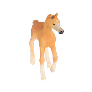 Schleich Horse Club Arabic Veulen 13984