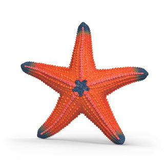 Figurine de jeu étoile de mer sauvage Schleich avec changement de couleur en PVC.