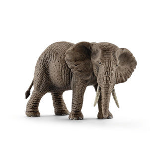 Schleich African Elephant femme