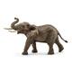 Schleich sauvage Life African Elephant Male 14762