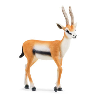 Schleich 14861 Gazelle de Thomson | 5 pièces