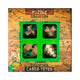 Eureka Wooden Brain Puzzles Junior, 4e.
