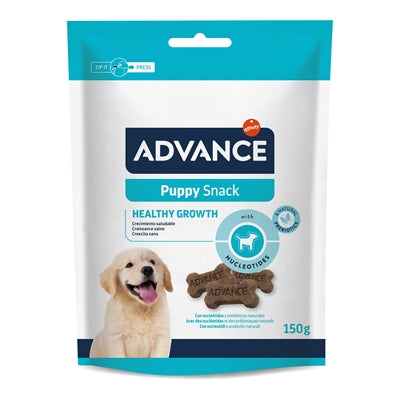 Snack de chiot avancé