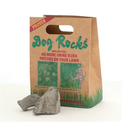 Rocks de chien Rocks de chien