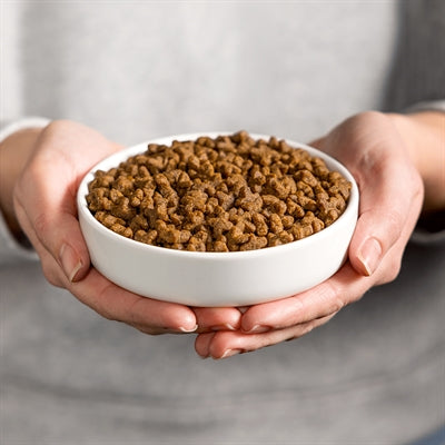Riz de poisson adulte de chat smolke