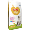 Riz de poisson adulte de chat smolke
