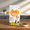 Riz de poisson adulte de chat smolke