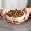 Riz de poisson adulte de chat smolke