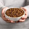Riz de poulet adulte de chat smolke