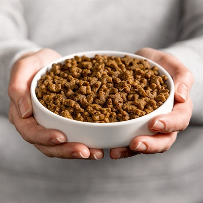 Riz de poulet adulte de chat smolke