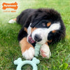 Nylabone Puppy Tactile Ring Chicken Gott