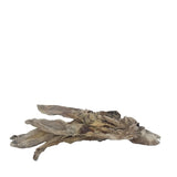 PETSNACK RACISTORS AVEC LA COUR - afbeelding 3