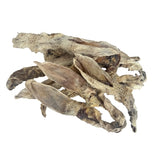 PETSNACK RACISTORS AVEC LA COUR - afbeelding 4