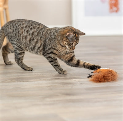 Trixie écureuil peluche avec queue de ressort avec catnip