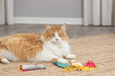 Trixie MUIS PLUSH AVEC CATNIP Assorti