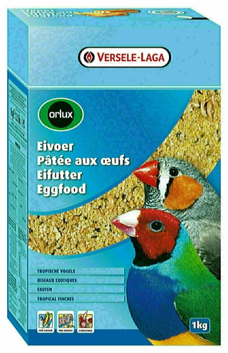 Oiseau tropical sèche à l'oeuf d'Orlux