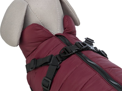 Veste de chien Trixie Pirou avec Sangria Tuig