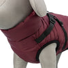 Veste de chien Trixie Pirou avec Sangria Tuig