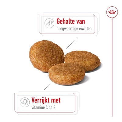 Royal Canin canin moyen adulte
