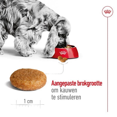 Royal Canin canin moyen adulte