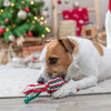 Trixie Noël Fostouw Bonbon