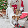 Trixie Noël Fostouw Candy Cane