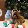 Cupidon Comet Carrie Candy Cane Christmas Stick Pluche