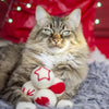 Boules de laine Cupid Comet