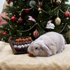 Cupid Comet Advent Gift 'n' Furage Truffle Scale