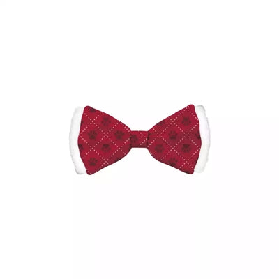 APPOSSIBLE CADEAUX PAPILLE DE NOIT