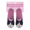 Slippel Black and White Cat rose