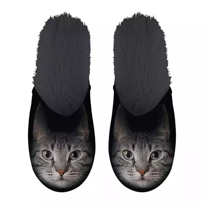Slippel Grey Cat noir