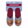 Slippel Labradoodle Lila Red