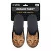 pantoufle orange chat noir