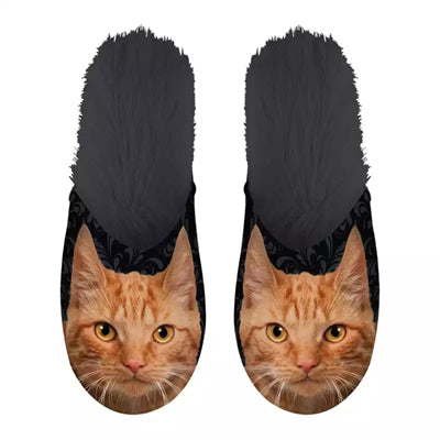 pantoufle orange chat noir