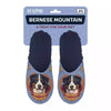 Chien de montagne bernois slippel bleu foncé