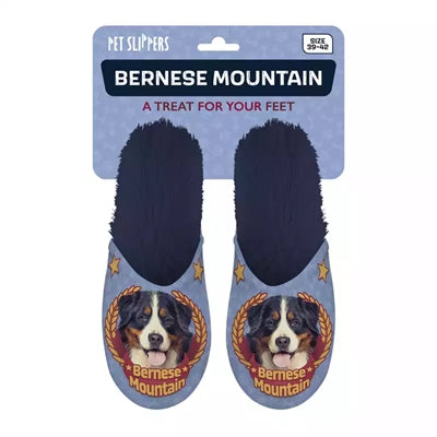 Chien de montagne bernois slippel bleu foncé