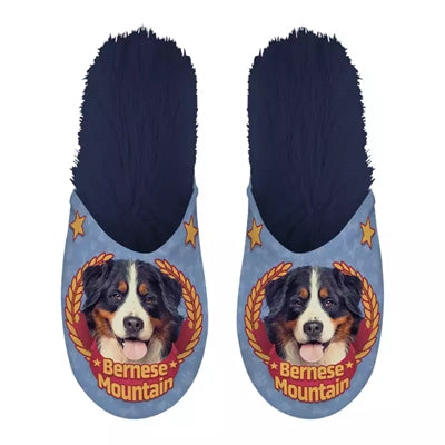 Chien de montagne bernois slippel bleu foncé