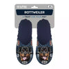 Slippel Rottweiler bleu foncé