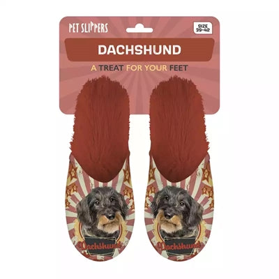 Slippel Dckhund Deckel Oranje