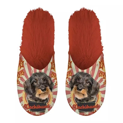Slippel Dckhund Deckel Oranje