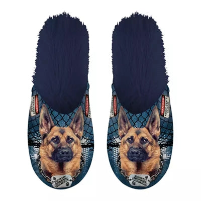 Slippel Shepher allemand bleu foncé