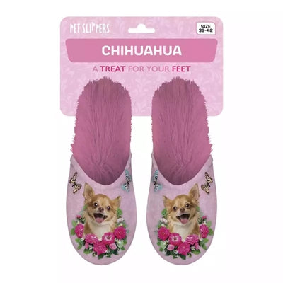 Slippel Chihuahua rose