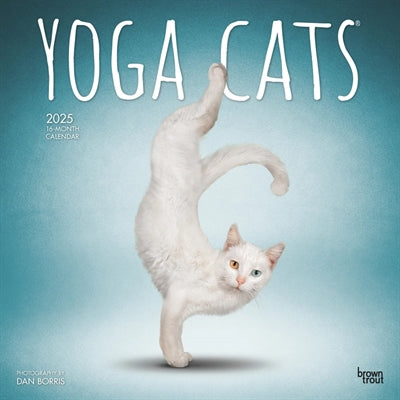 Calendrier Yoga Cats 2025