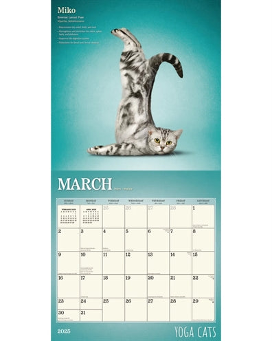 Calendrier Yoga Cats 2025