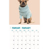 Calendrier Chihuahua Studio 2025