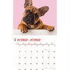 Calendar Frenchies Studio 2025