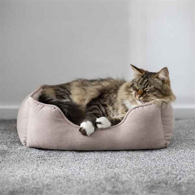 Rosewood Rosewood Dog Basket Cord Ribstof Beige
