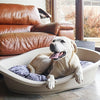 Coussin de chien en palissandre toutes saisons imprimées de chien ovale gris